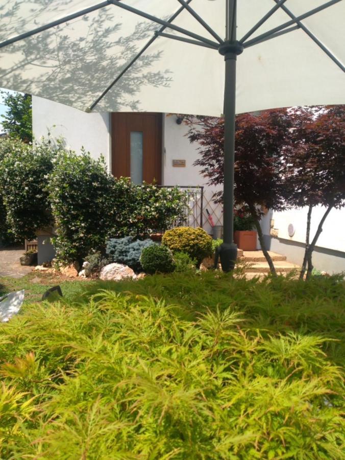 扎尼卡Le Betulle住宿加早餐旅馆 外观 照片