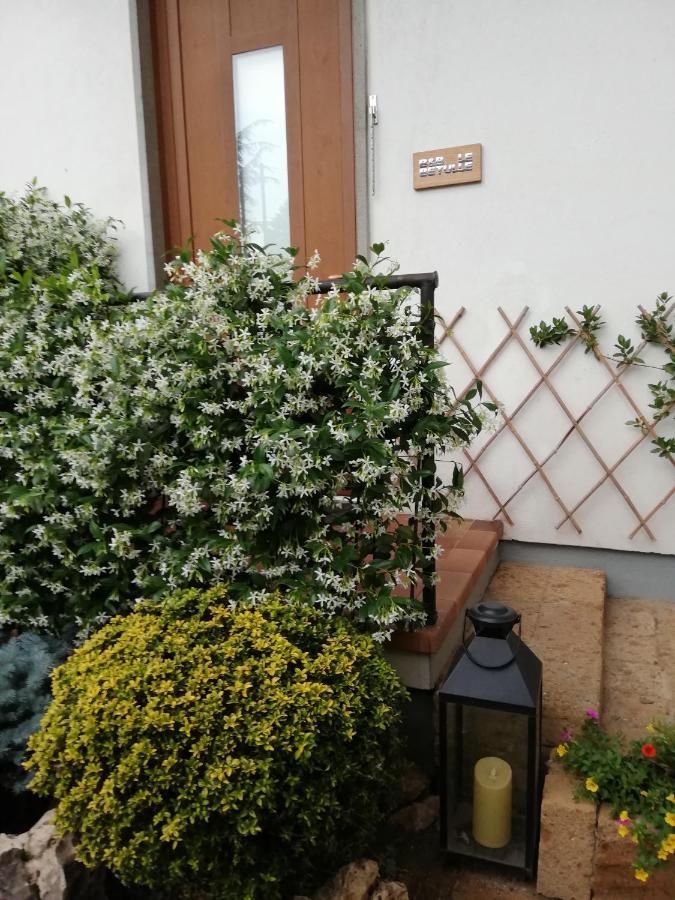 扎尼卡Le Betulle住宿加早餐旅馆 外观 照片